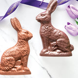 Solid Chocolate Bunnies 12 OZ