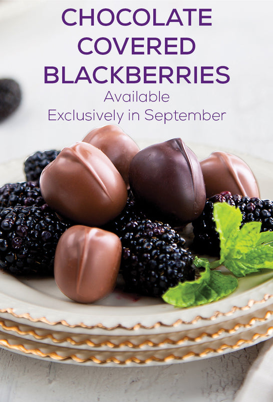 Bissinger's Handcrafted Chocolatier